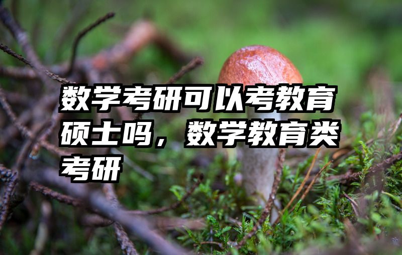 数学考研可以考教育硕士吗，数学教育类考研