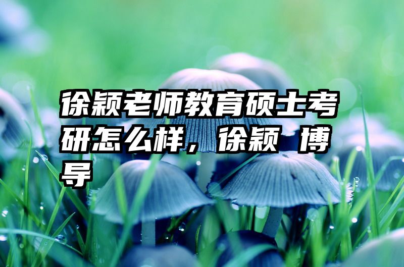 徐颖老师教育硕士考研怎么样，徐颖 博导