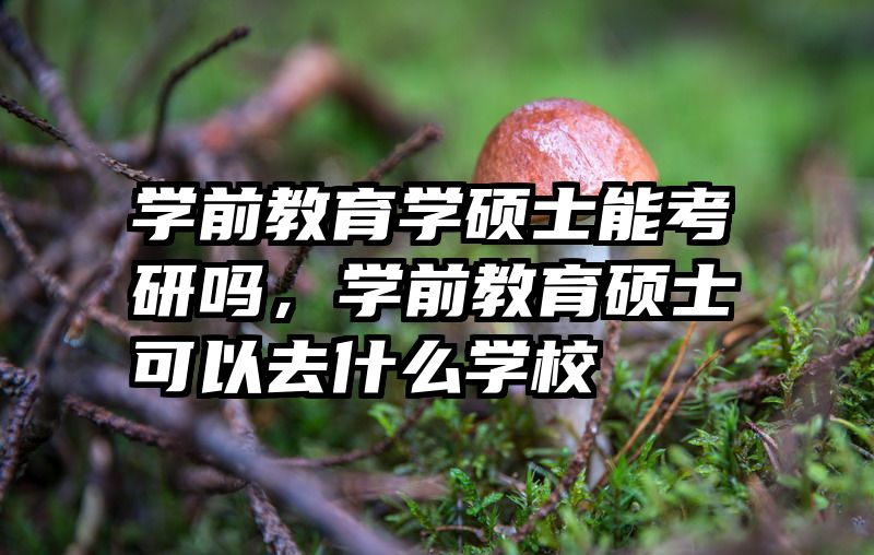 学前教育学硕士能考研吗，学前教育硕士可以去什么学校