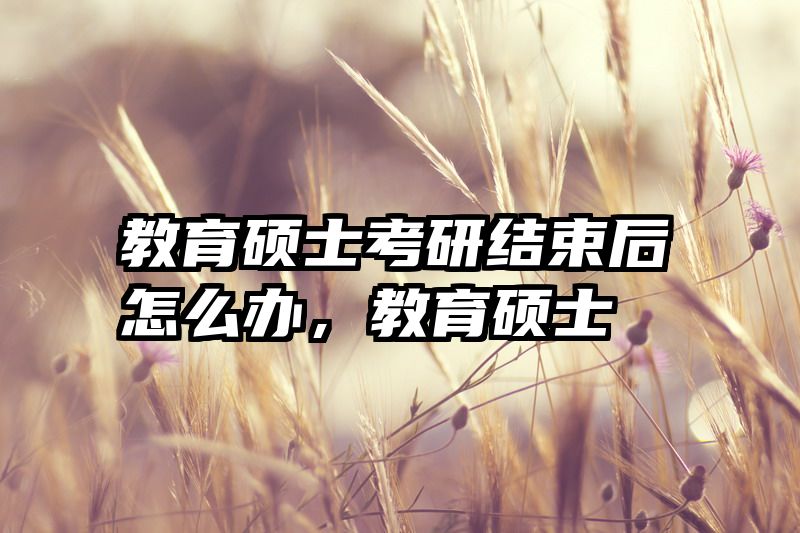 教育硕士考研结束后怎么办，教育硕士