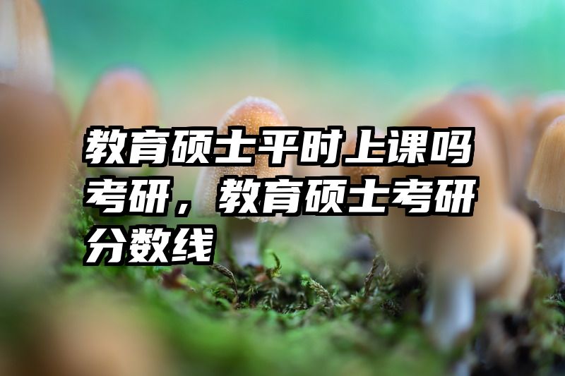 教育硕士平时上课吗考研，教育硕士考研分数线