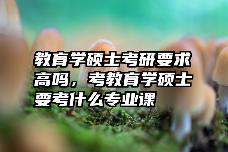 教育学硕士考研要求高吗，考教育学硕士要考什么专业课