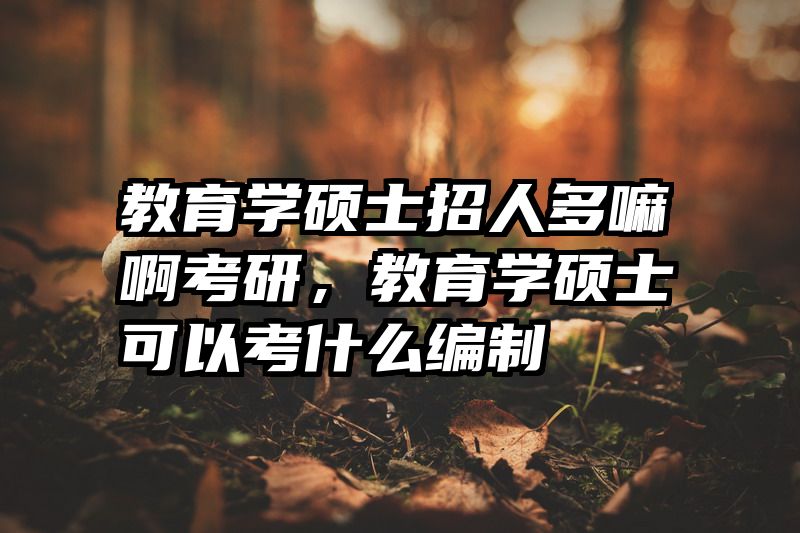 教育学硕士招人多嘛啊考研，教育学硕士可以考什么编制