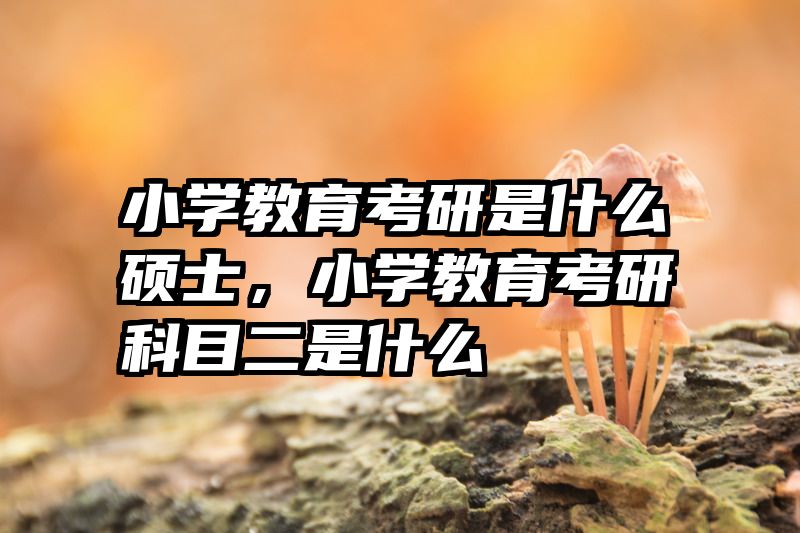 小学教育考研是什么硕士，小学教育考研科目二是什么