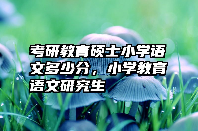 考研教育硕士小学语文多少分，小学教育语文研究生