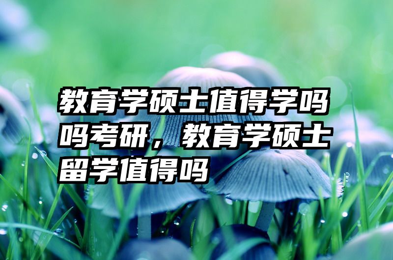 教育学硕士值得学吗吗考研，教育学硕士留学值得吗