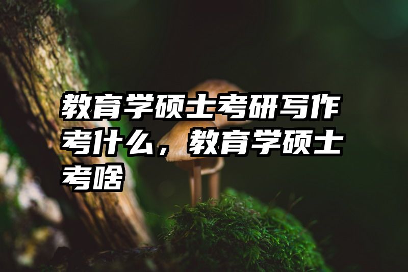 教育学硕士考研写作考什么，教育学硕士考啥