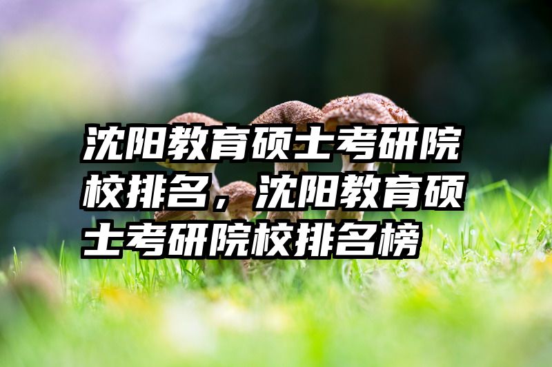 沈阳教育硕士考研院校排名，沈阳教育硕士考研院校排名榜