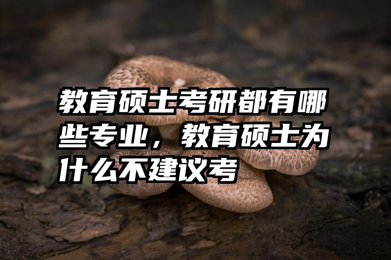 教育硕士考研都有哪些专业，教育硕士为什么不建议考