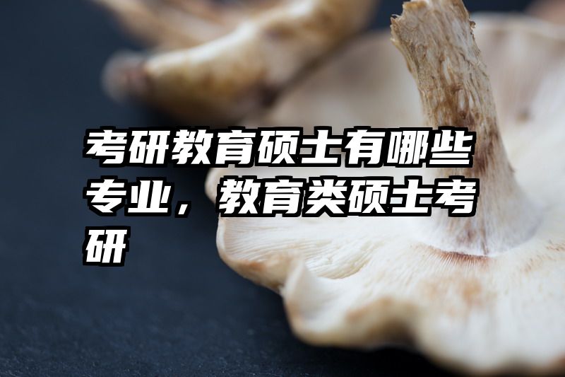 考研教育硕士有哪些专业，教育类硕士考研