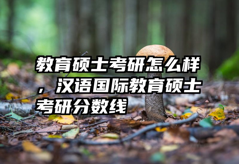 教育硕士考研怎么样，汉语国际教育硕士考研分数线