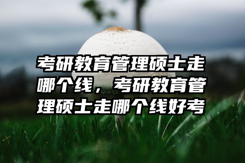 考研教育管理硕士走哪个线，考研教育管理硕士走哪个线好考