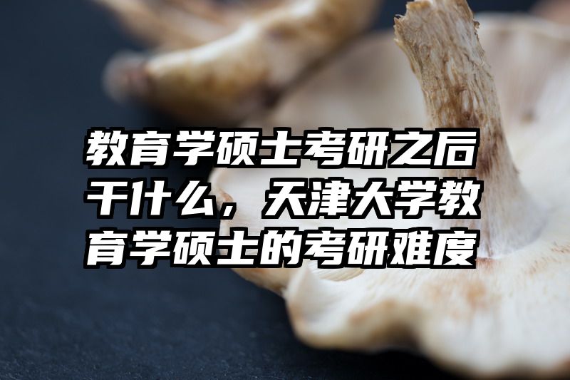 教育学硕士考研之后干什么，天津大学教育学硕士的考研难度