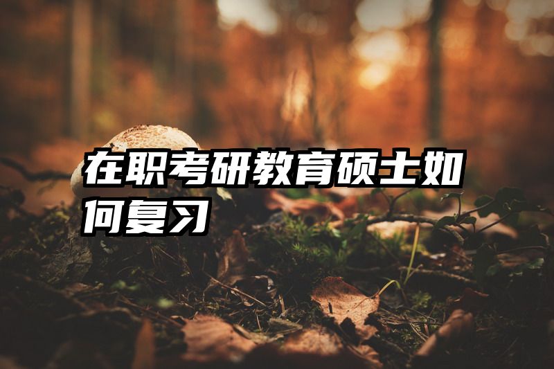 在职考研教育硕士如何复习