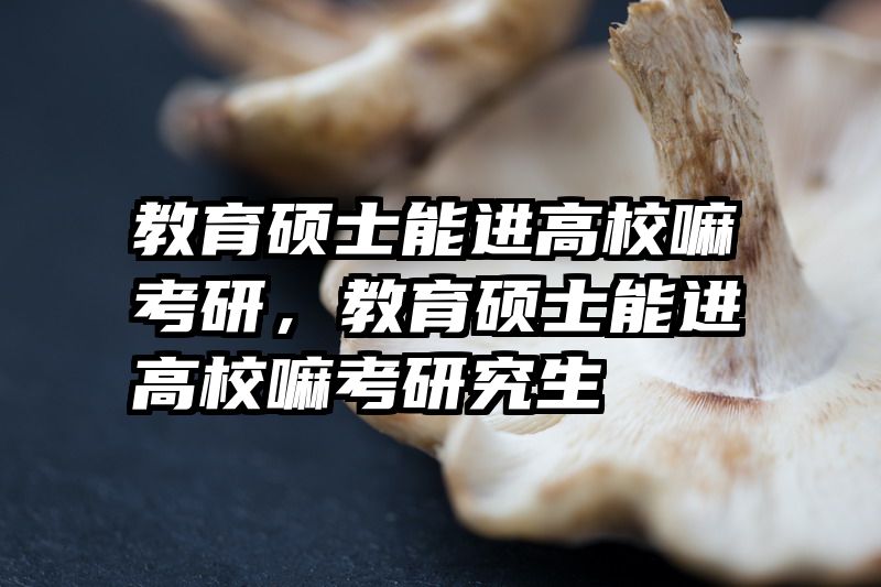 教育硕士能进高校嘛考研，教育硕士能进高校嘛考研究生