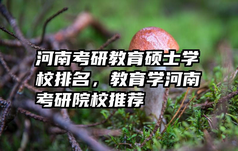 河南考研教育硕士学校排名，教育学河南考研院校推荐