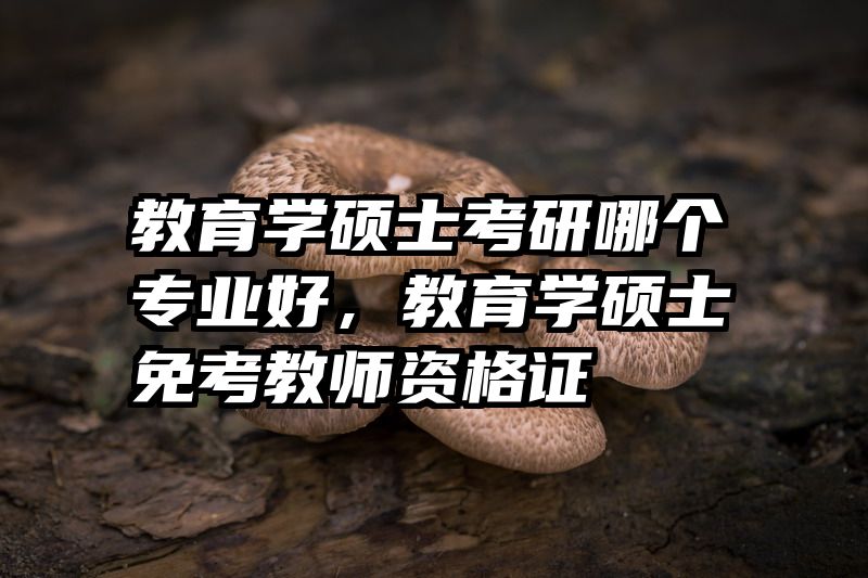 教育学硕士考研哪个专业好，教育学硕士免考教师资格证