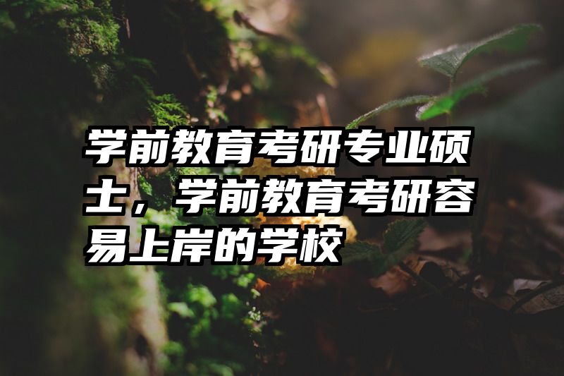 学前教育考研专业硕士，学前教育考研容易上岸的学校