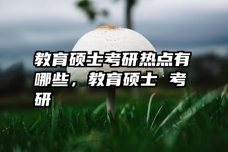 教育硕士考研热点有哪些，教育硕士 考研