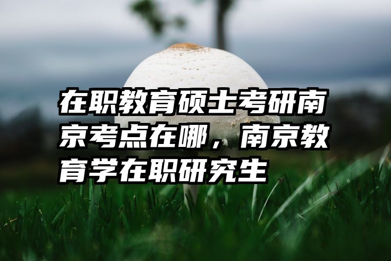 在职教育硕士考研南京考点在哪，南京教育学在职研究生