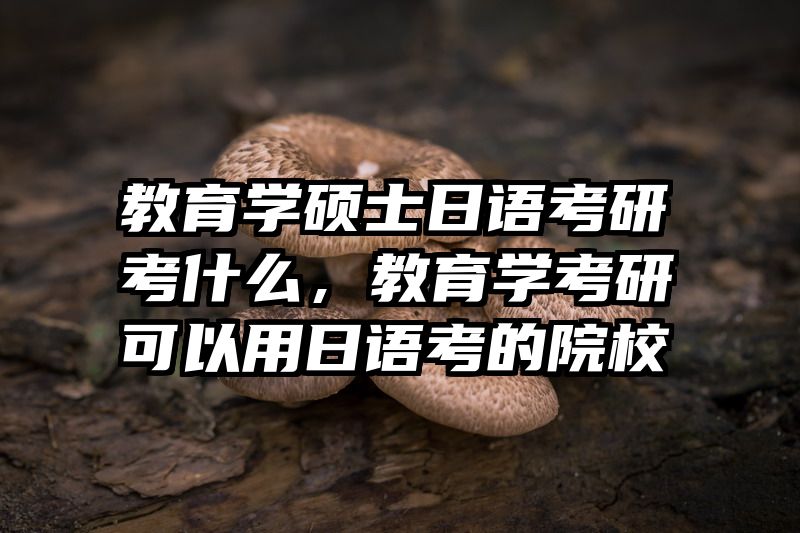 教育学硕士日语考研考什么，教育学考研可以用日语考的院校