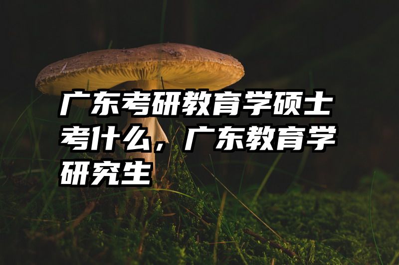 广东考研教育学硕士考什么，广东教育学研究生