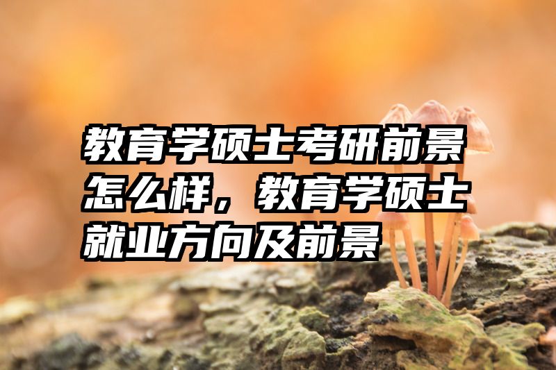 教育学硕士考研前景怎么样，教育学硕士就业方向及前景