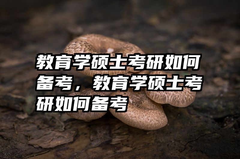 教育学硕士考研如何备考，教育学硕士考研如何备考