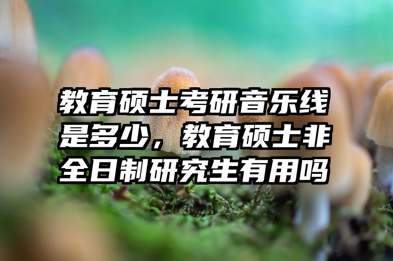 教育硕士考研音乐线是多少，教育硕士非全日制研究生有用吗