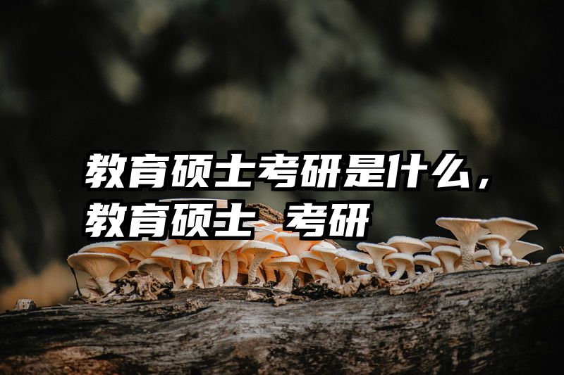 教育硕士考研是什么，教育硕士 考研