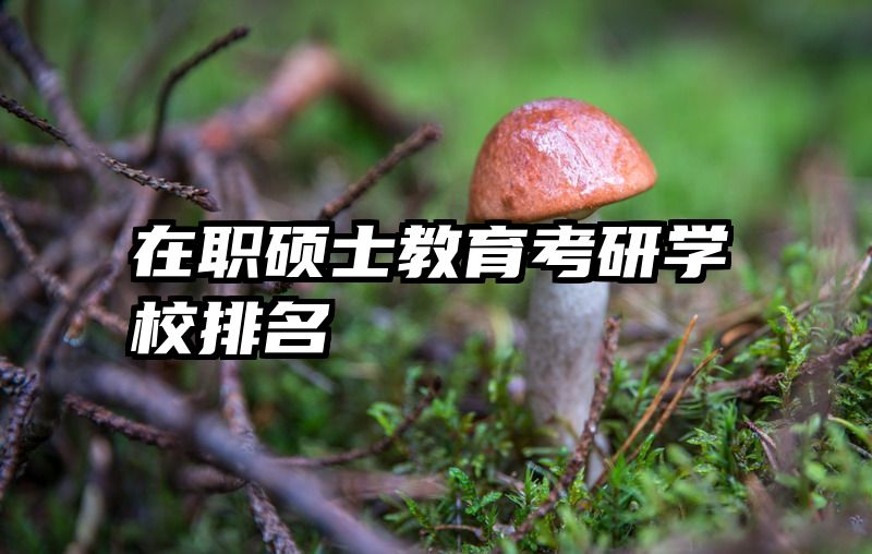 在职硕士教育考研学校排名