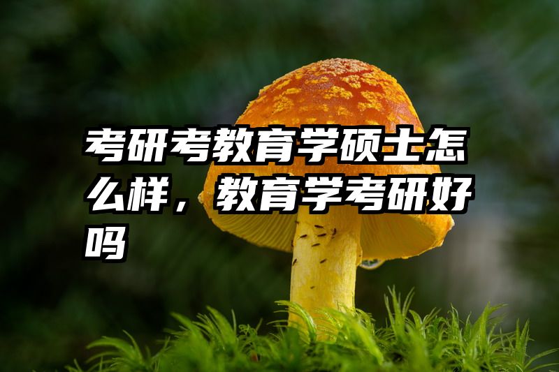 考研考教育学硕士怎么样，教育学考研好吗